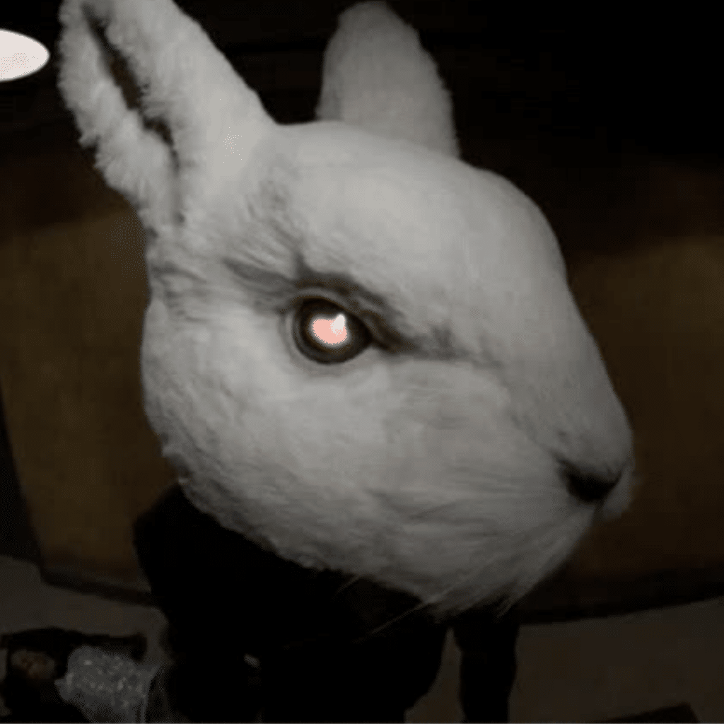 CABLE COMPANIES SCARED - BUNNY ATTACKS