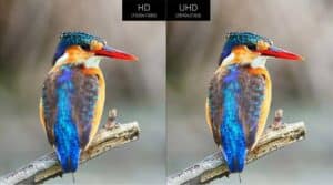 UHD TV vs HDTV