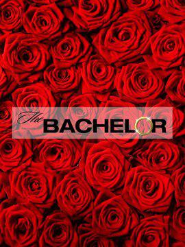 The Bachelor