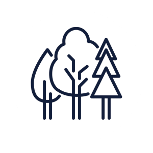 Forest icon