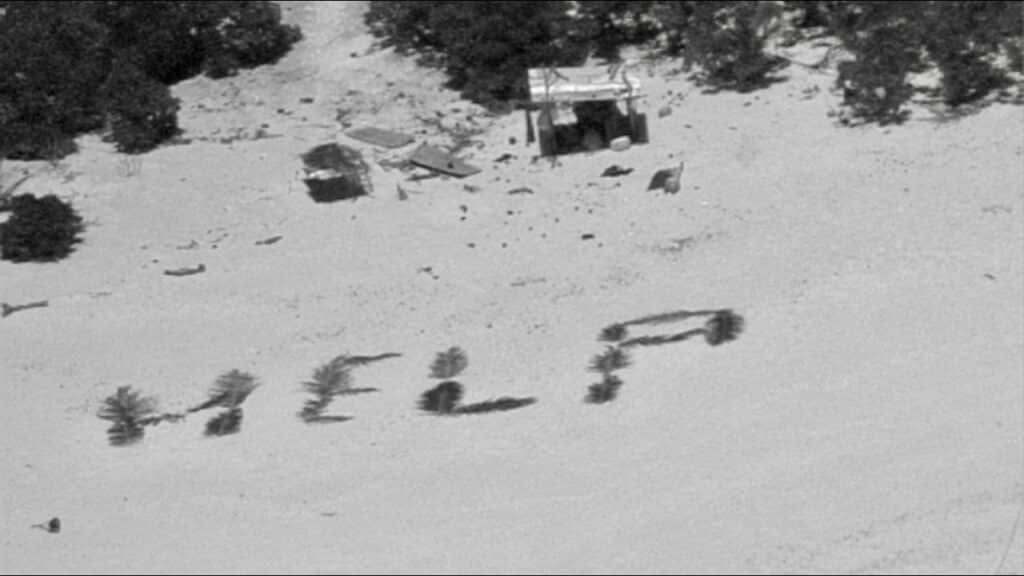 Help written with palm leaves on a beech.